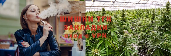 ГАЛЛЮЦИНОГЕННЫЕ ГРИБЫ Белоозёрский